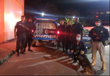 Guarda Civil, Policia Rodoviária Federal e Polícia Militar apreendem grande quantidade de droga. (Foto: Divulgação)